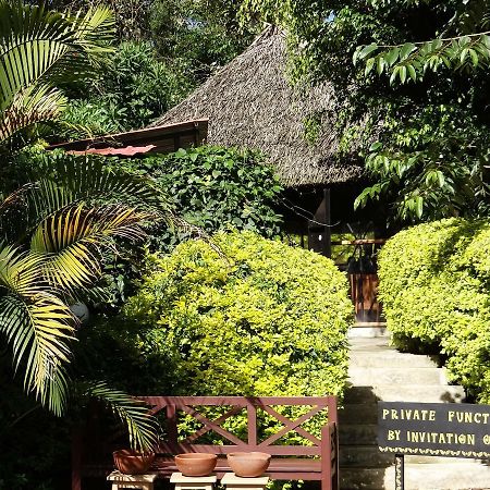 Ikweta Country Inn Maua Kaathene Dış mekan fotoğraf